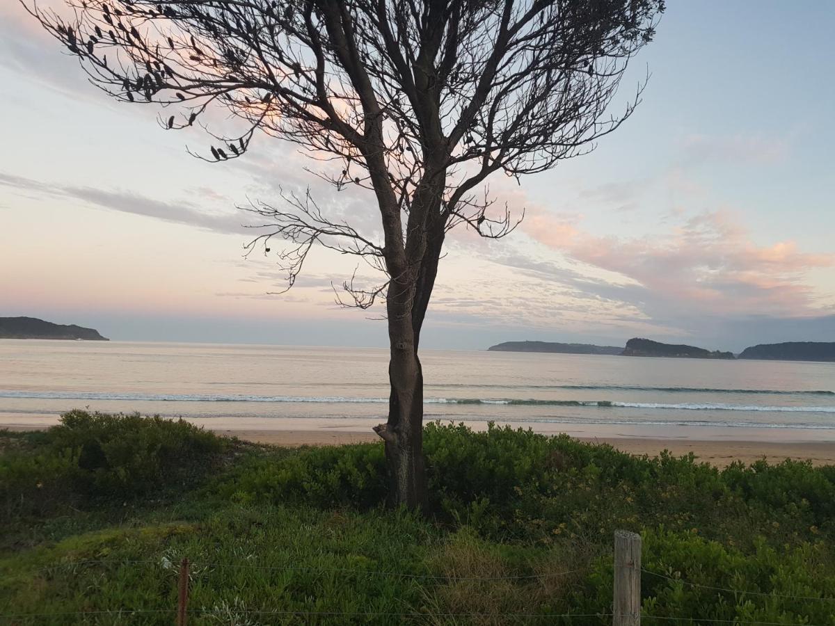 Beachside Villa Ettalong Beach Bagian luar foto